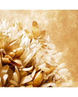 OR DE MOI Parfum Refill 5 oz.