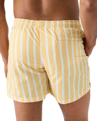 Striped Swim Shorts