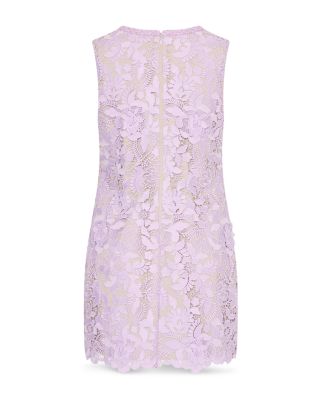 Garden Lace Sleeveless Mini Dress