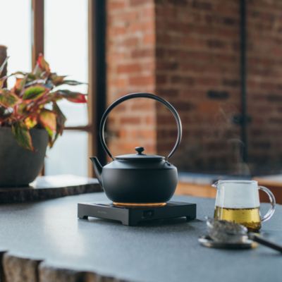MoonKettle Electric Kettle