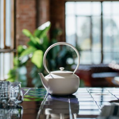 MoonKettle Electric Kettle