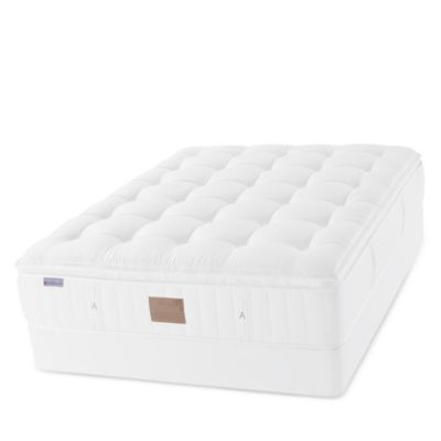 Phoebe Plush Euro Top Mattress - Exclusive