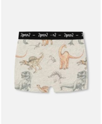 Boys' Printed Organic Cotton Boxer Shorts - Little Kid, Big Kid