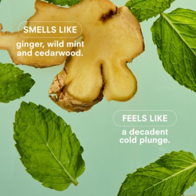 Minty Standard Candle, 8.5 oz.