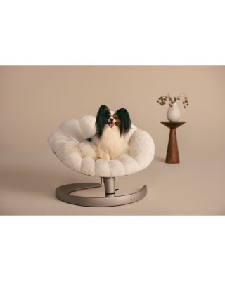 Shell Pet Bed and Swaying Lounger  