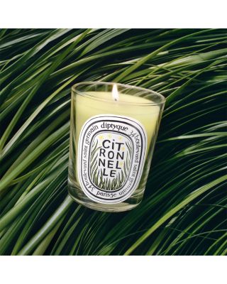 Citronnelle (Lemongrass) Classic Candle 6.7 oz.