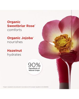 Limited Edition Lip Comfort Oil Canyon Kiss Collection