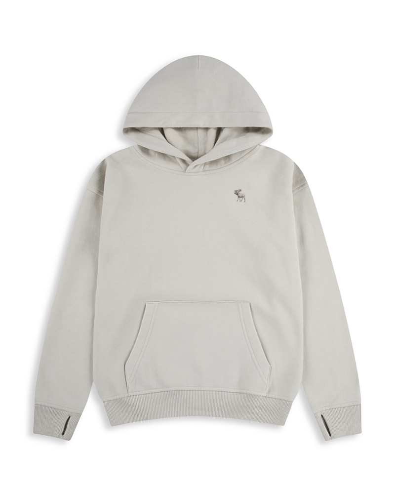 Abercrombie Boys Essential Fleece Pullover Hoodie In Gray