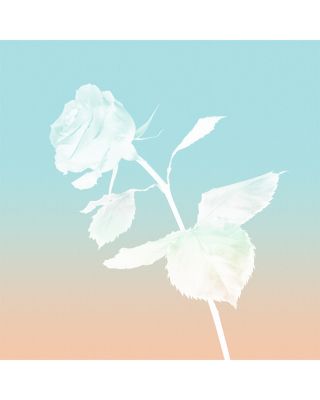 Rose Gold Eau de Parfum 1.6 oz.