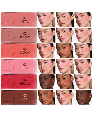 Dior Forever Blush Soft Filter