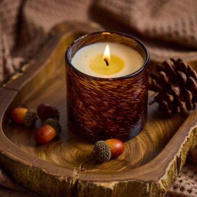 Spiced Pomander Signature Candle, 15.5 oz.