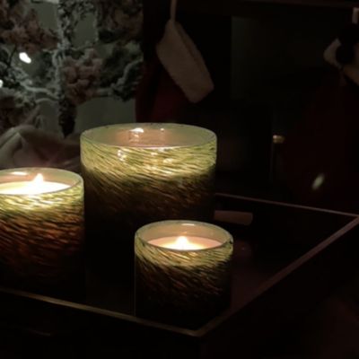 Woodland Spruce Signature Candle, 15.5 oz.