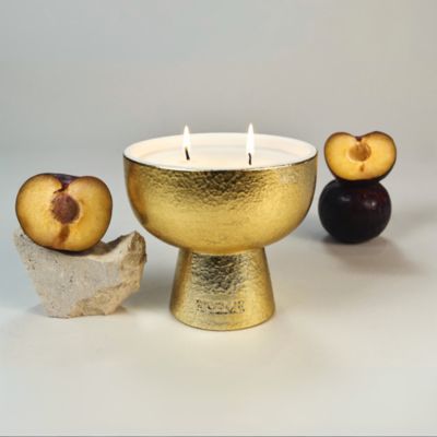 Black Plum &amp; Cassis Medium Ceramic Candle 12 oz.