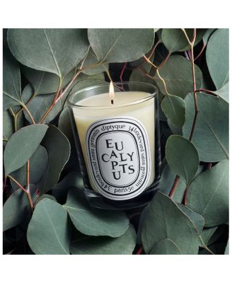 DIPTYQUE Eucalyptus Scented Candle | Bloomingdale's Beauty & Cosmetics