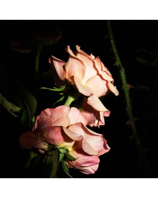 Le Vestiaire des Parfums Blouse Eau de Parfum 4.2 oz.