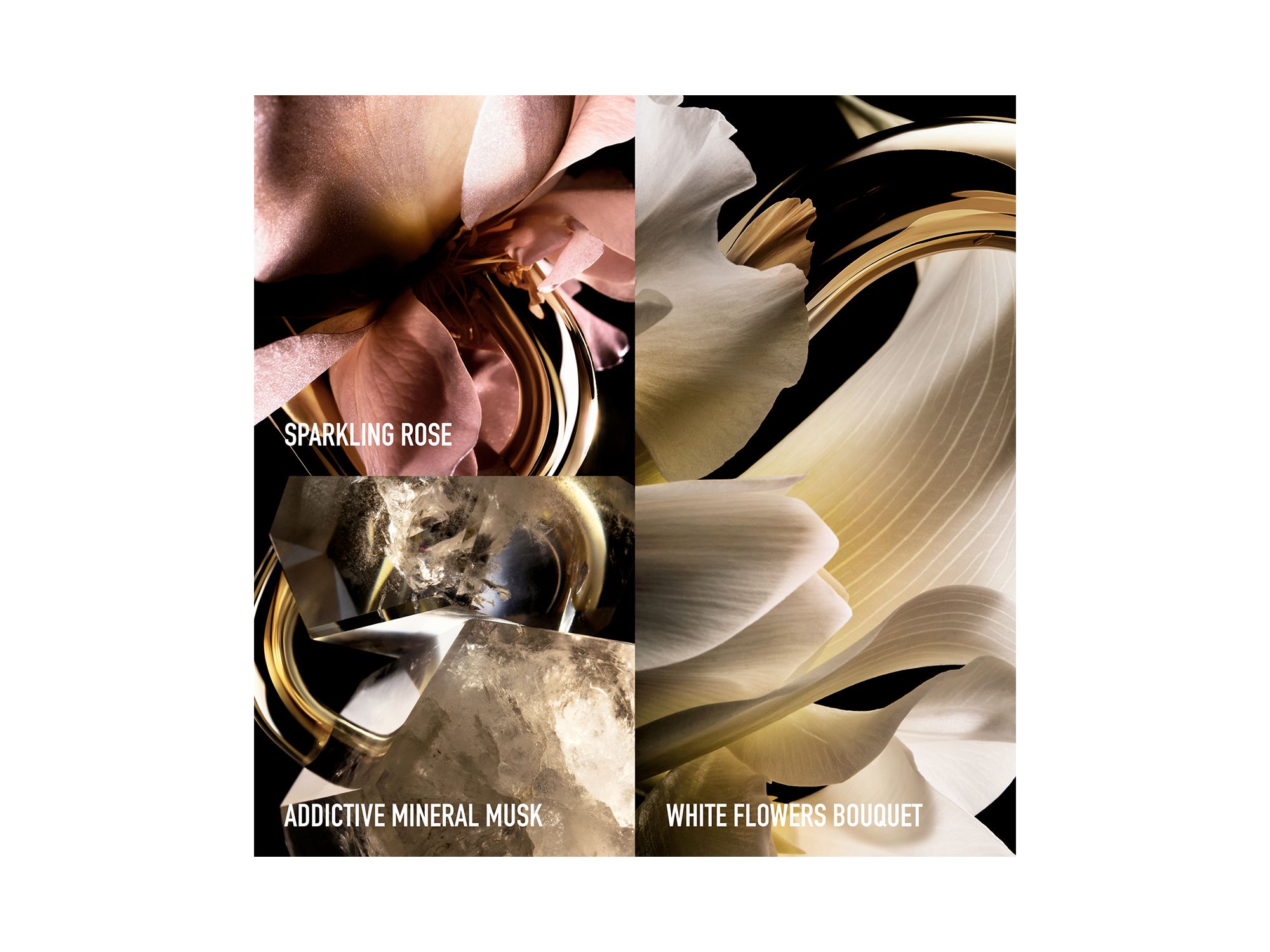 Million Gold for Her Eau de Parfum Gift Set ($299 value), with Rose & Vanilla — Image 4
