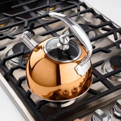 2.6 Qt Stainless Steel Whistling Kettle 