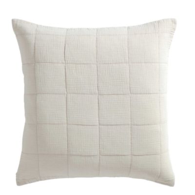 Cotton Gauze Solid Euro Sham, Set of 2