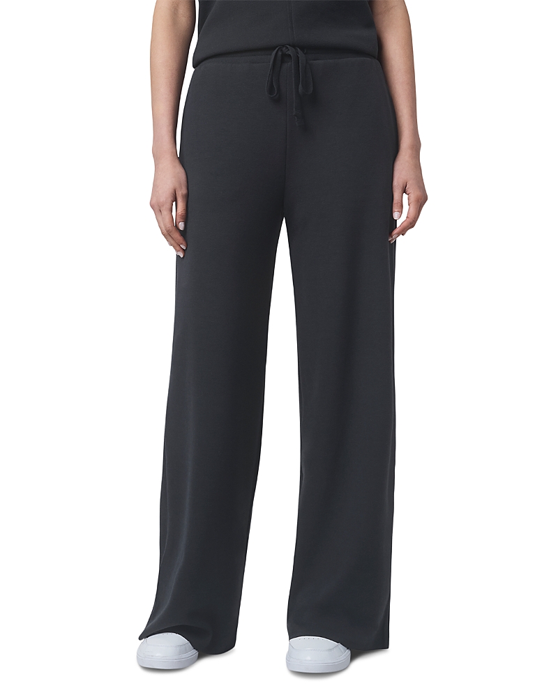 Splendid Winslow Wide Leg Drawstring Pants In Gray