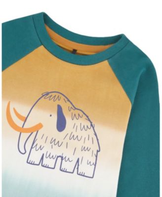 Boys' Organic Cotton Jersey Raglan Sleeve T-Shirt - Baby