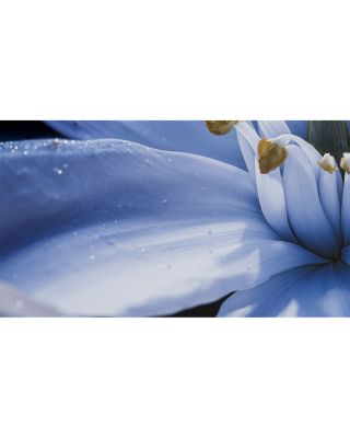 Blue Talisman Extrait de Parfum 1.7 oz.