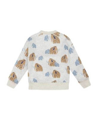 Boys' Long Sleeve Crew Neck Fleece Sweatshirt - Little Kid, Big Kid