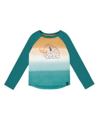 Boys' Organic Cotton Jersey Raglan Sleeve T-Shirt - Little Kid, Big Kid