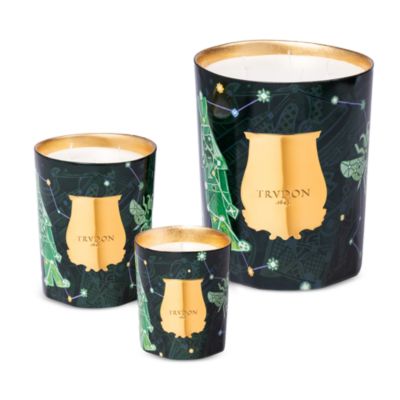Fir Large Candle 101 oz.