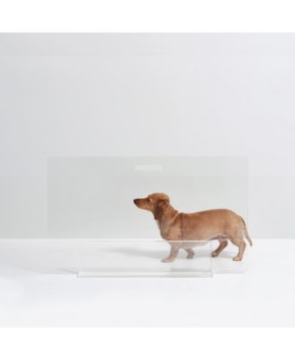 Low Clear Pet Gate Panel