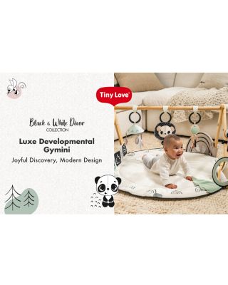 D&eacute;cor Luxe Developmental Gymini