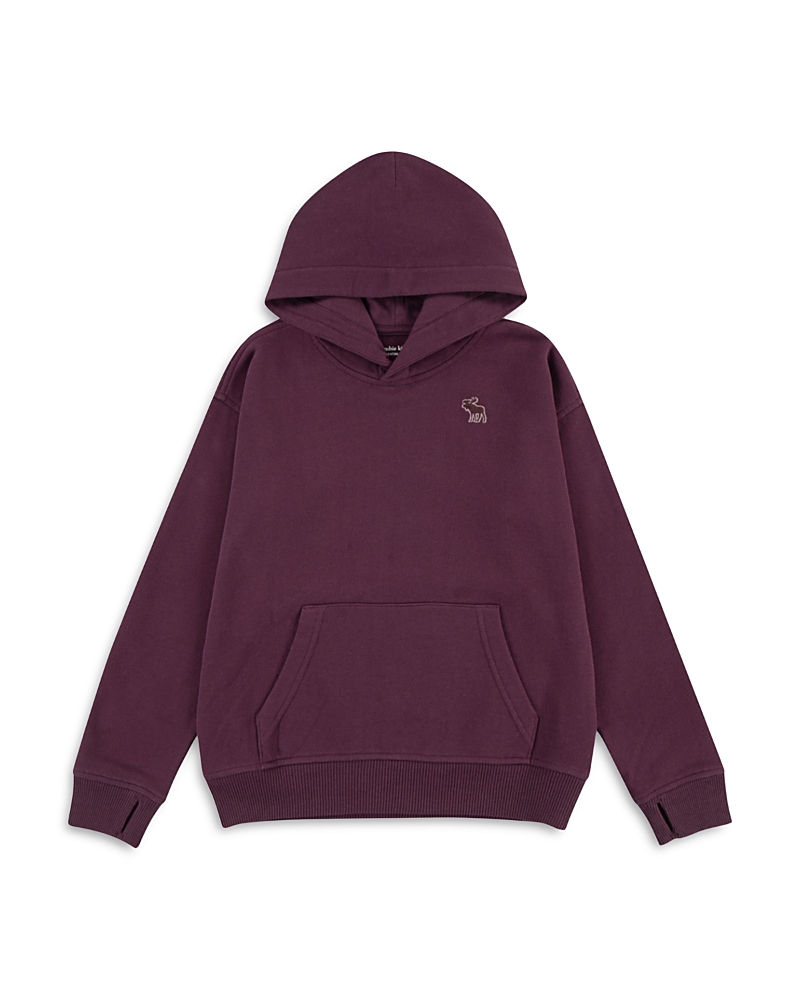 Abercrombie Boys Essential Fleece Pullover Hoodie In Purple