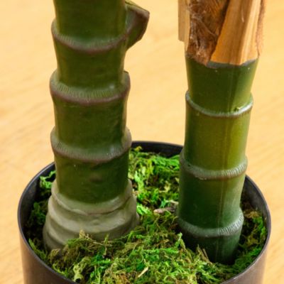 4&#39; UV Resistant Artificial Double Robellini Palm Tree (Indoor/Outdoor)