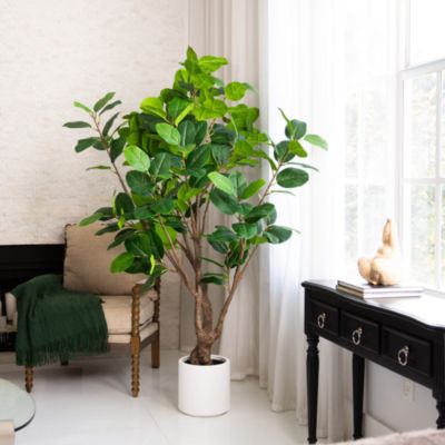 6&#39; Artificial Audrey Ficus Leaf Tree