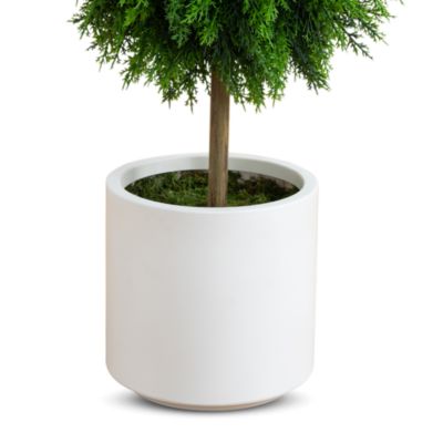 3.5&#39; UV Resistant Artificial Cedar Double Ball Topiary Tree in White Decorative Planter (Indoor/Outdoor)