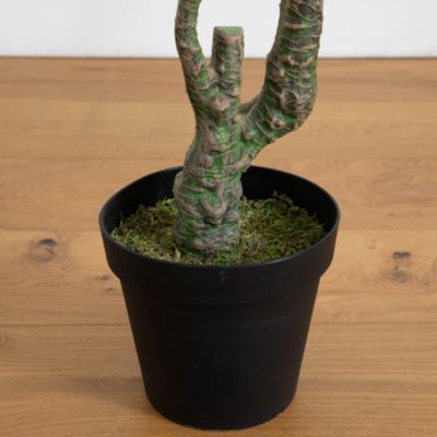 10' Minimalist Artificial Citrus Tree