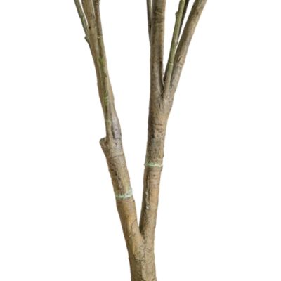 7' Artificial Dogwood Tree
