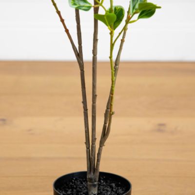 4' Artificial Heart Shaped Ficus Leaf Tree