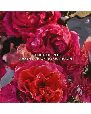 Aqua Allegoria Rosa Rossa Forte Eau de Parfum Gift Set ($178 value)