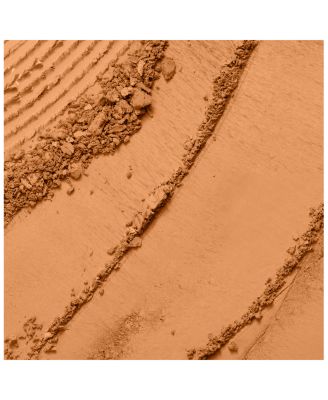 Dual Finish Multitasking Powder Foundation