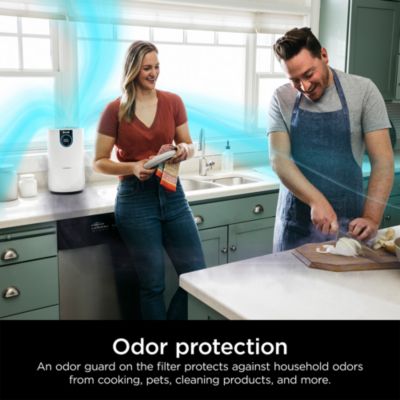 Air Purifier with True HEPA