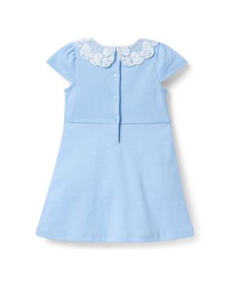Girls' Lace Collar Ponte Dress - Baby, Little Kid, Big Kid