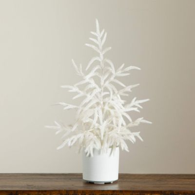 Natural Artificial Real Touch White Norfolk Island Pine 2&#39; Christmas Tree with Natural Look