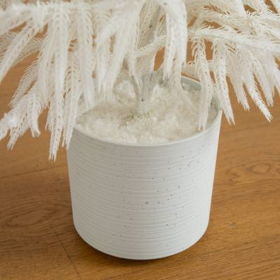 Natural Artificial Real Touch White Norfolk Island Pine 3' Christmas Tree with Natural Look