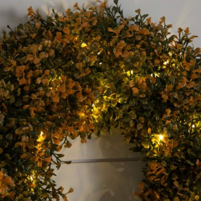 Pre-Lit Autumn Boxwood Artificial Fall 18&#39; Wreath with Warm White LED Lights