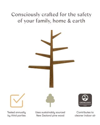 Spruce Tree Bookcase