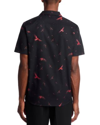 Ellino Button Down Shirt