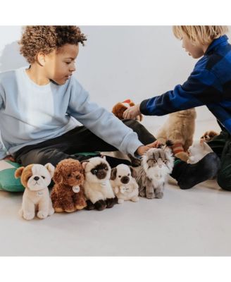  Bt Chaps Bertha The American Bulldog Floppy In Giftbox Plush 5-7 - Ages 5-7