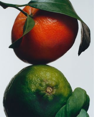 Home Candle Duo Gift Set ($164 value)