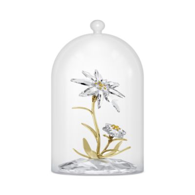 Florere 130th Anniversary Bell Jar