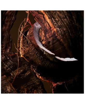 F&eacute;tiche L'&Eacute;b&egrave;ne Eau de Parfum 2.7 oz.